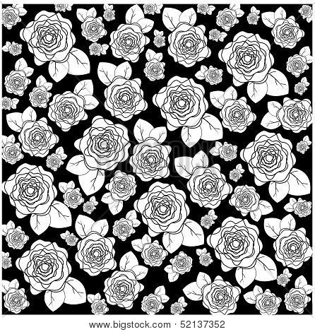 white flowers of different size on a black background