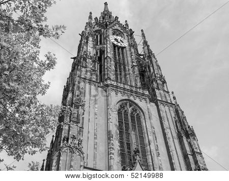 Frankfurt Cathedral