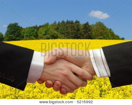Businessmen Shaking Hands With The Blue Sky