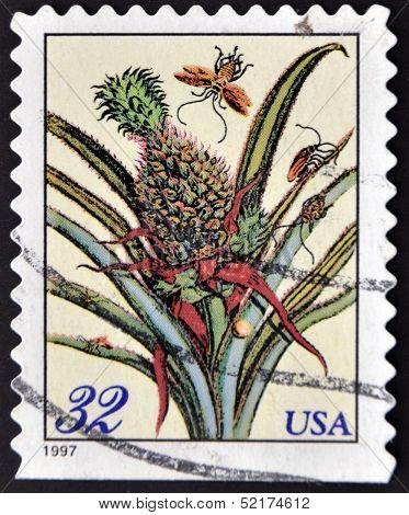 A stamp printed in USA shows pineapple plant drawing by Anna Maria Sibylla Merian