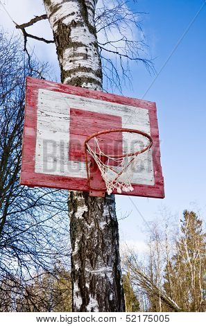 Old Basketball Hoop
