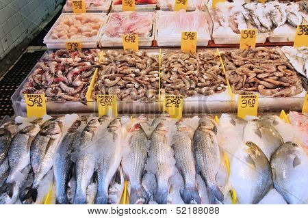 Fish Store In New York