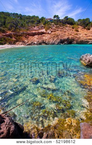 Ibiza Cala Moli beach with clear water in Balearic Islands San Jose