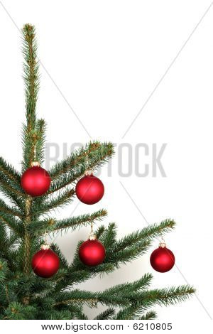 Albero di Natale