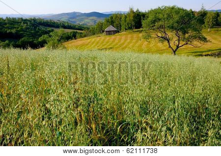 rural landscape in Sjenica, Serbia