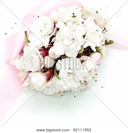 Glory Bower Flower