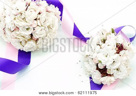 Glory Bower Flower