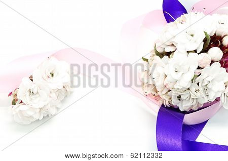Glory Bower Flower