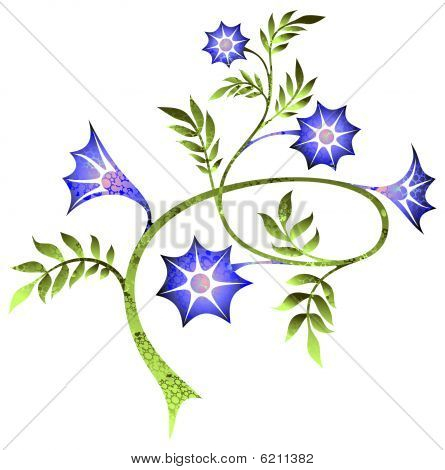 ramo con fiori blu