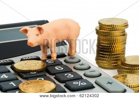 a pig and a calculator as a symbol photo for costs and income for a farmer in the landwirtschaft.ausgaben, receipts and accounting.