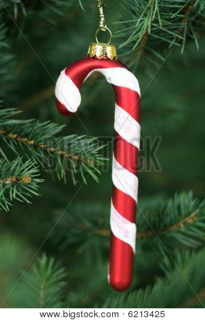 Candy Cane appeso su un albero di Natale