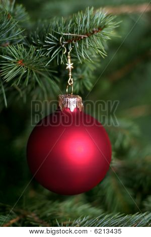 Albero di Natale
