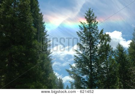 Sundog