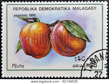 stamp printed in Madagascar shows Peaches Prunus Persica Fruit
