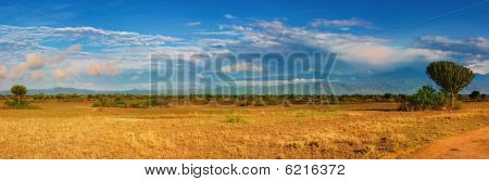 Savana africana