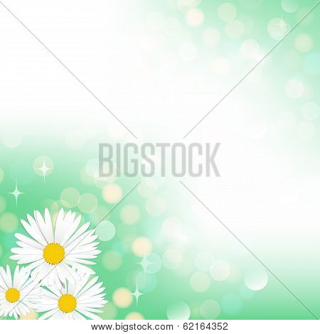 Spring Green Bokeh Background