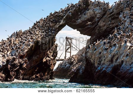 Ballestas Islands, Paracas National Reserve. The Very First Marine Conservation Centre In Peru