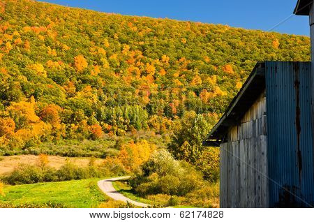 Old  Barn