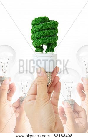 eco energy concept