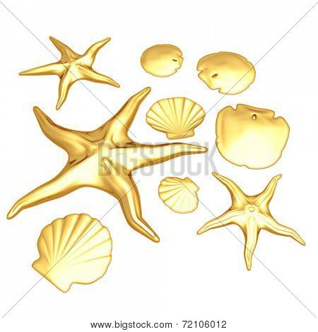 Gilded Starfish Shells & Sand Dollars 3D