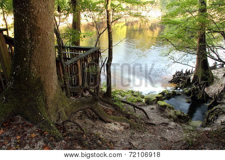 Little Gem Spring Overlook