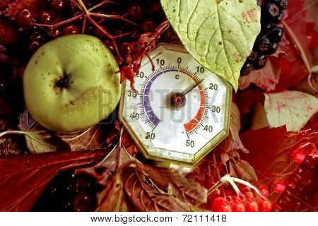 Thermometer