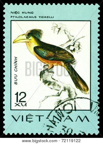 Vintage  Postage Stamp. Bird Ptilolaemus Tickelli.