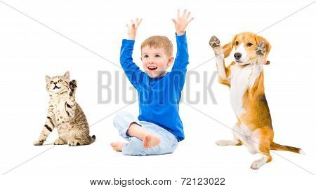 Happy boy, dog and cat