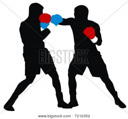 Boxer