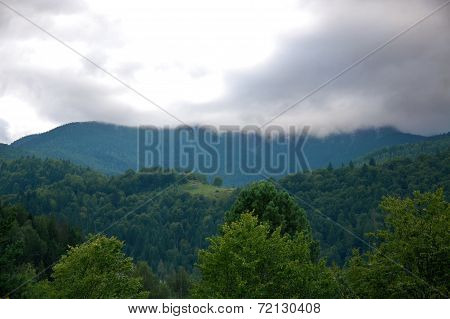 Carpathian Landscape