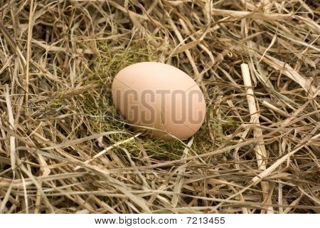 easter egg in haystack