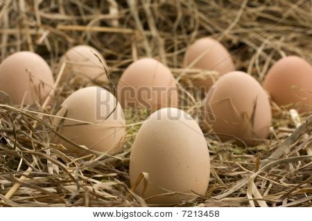 several easter egg in haystack with focus on first egg