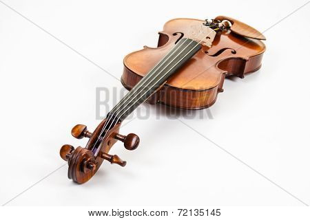A fine violin on white background