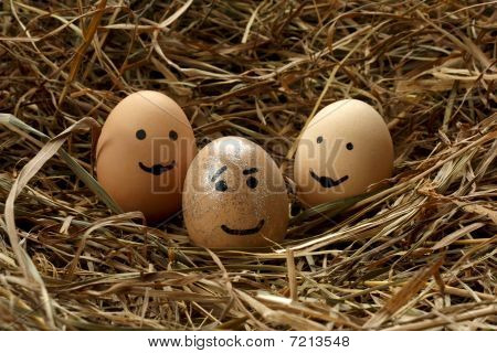 Smiley eggs in nest