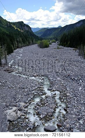 Nisqually River in Mt Rainier National Park