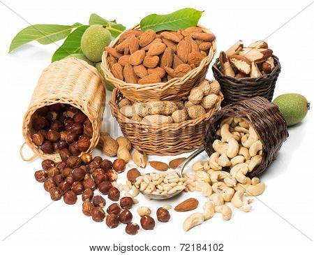 Group Of Nuts