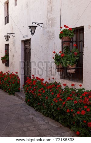 Flowers in a Monastery