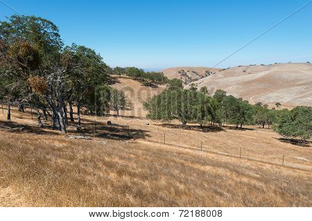 Hills