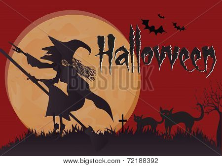 Witch vector