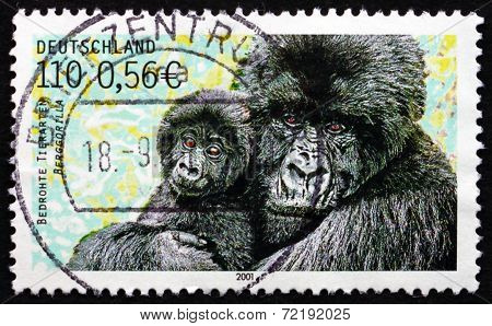 Postage Stamp Germany 2001 Mountain Gorilla
