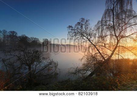 Foggy Morning At Sunrise