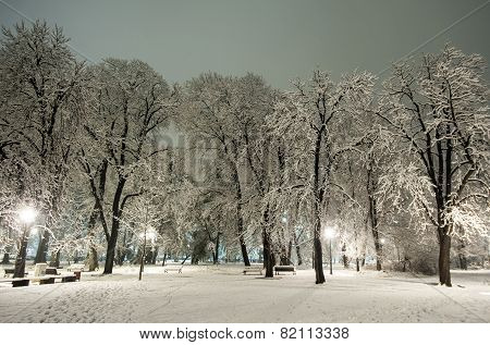 Winter Snow Park