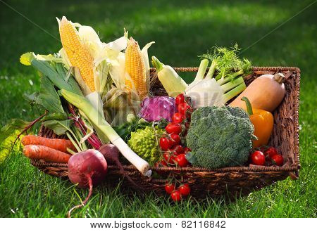 Fresh Vegetables In The Basket