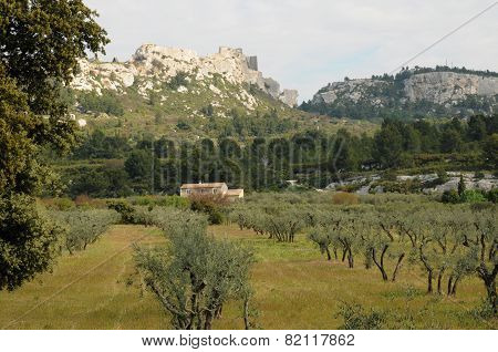 Typical Landscape Of Maussane Les Alpilles In Provence