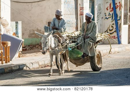 Egyptian men ride his donkey chariot