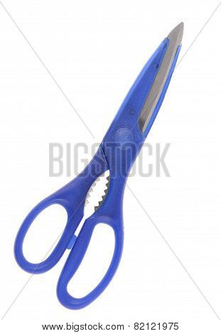 Blue Itchen Scissors