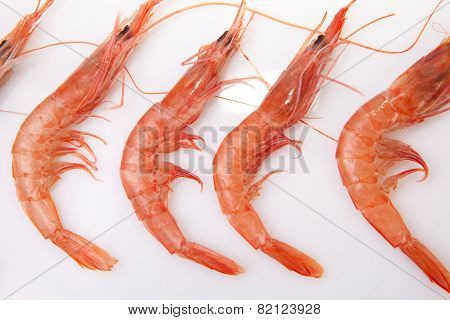 Row Of Spanish Rice Shrimps