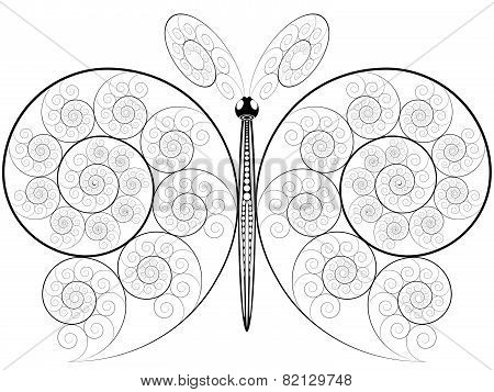 butterfly