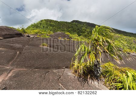 Mount Copolia, Mahe, Seychelles