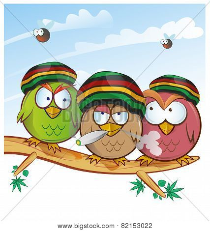 jamaican owl group cartoon